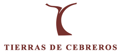 Tierras de Cebreros, wine tourism complex